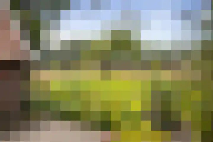 Het Aamschot 5 Haarlo thumbnail 12