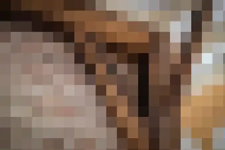 Het Aamschot 5 Haarlo thumbnail 19
