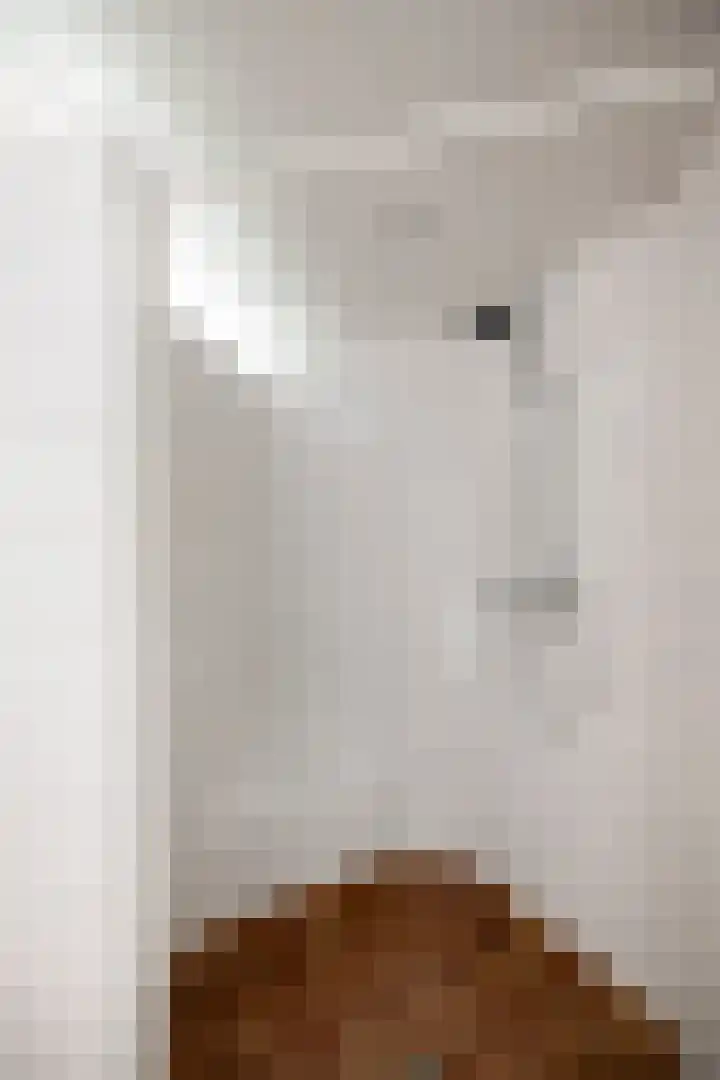Het Aamschot 5 Haarlo thumbnail 35