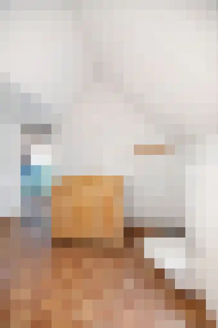 Het Aamschot 5 Haarlo thumbnail 37