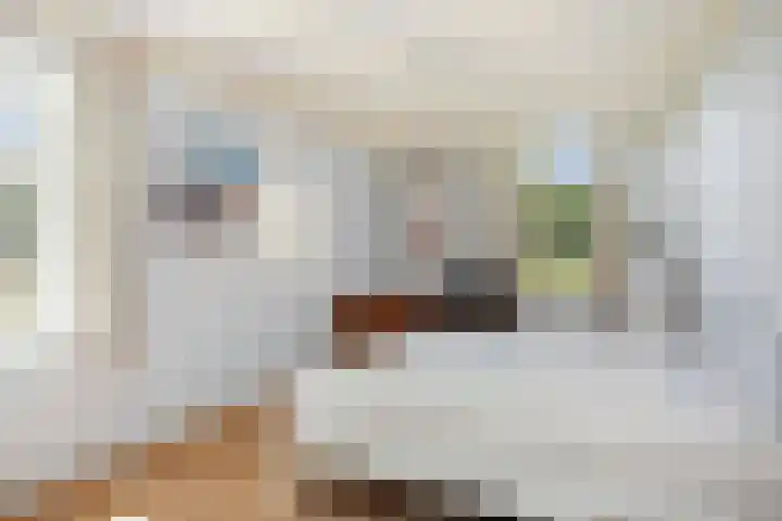 Het Aamschot 5 Haarlo thumbnail 39