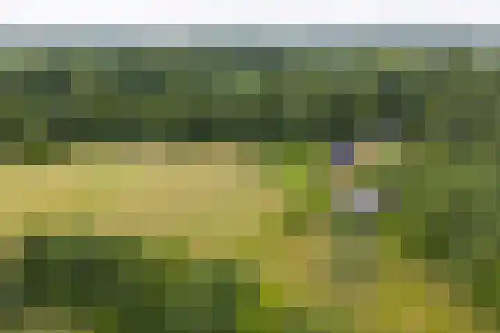 Het Aamschot 5 Haarlo thumbnail 4