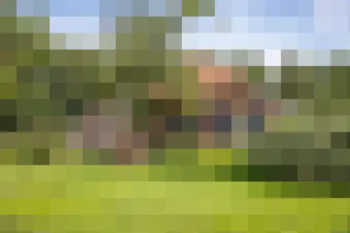 Het Aamschot 5 Haarlo thumbnail 47