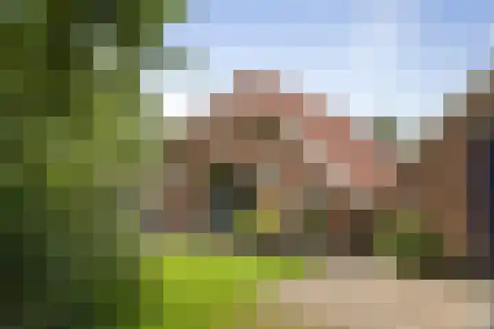 Het Aamschot 5 Haarlo thumbnail 48