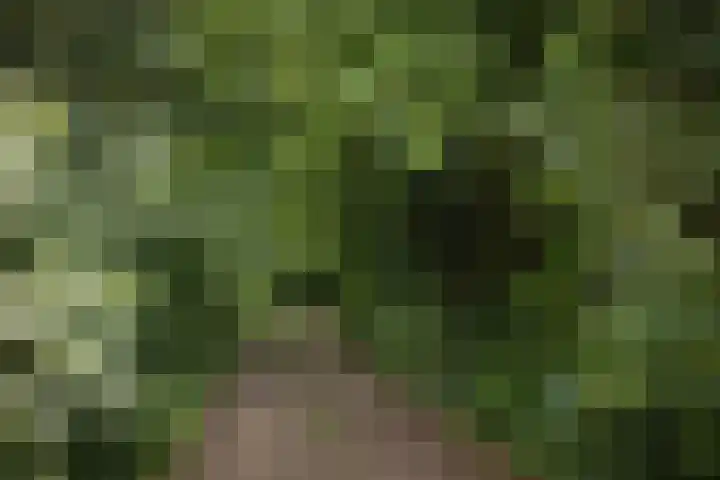 Het Aamschot 5 Haarlo thumbnail 51