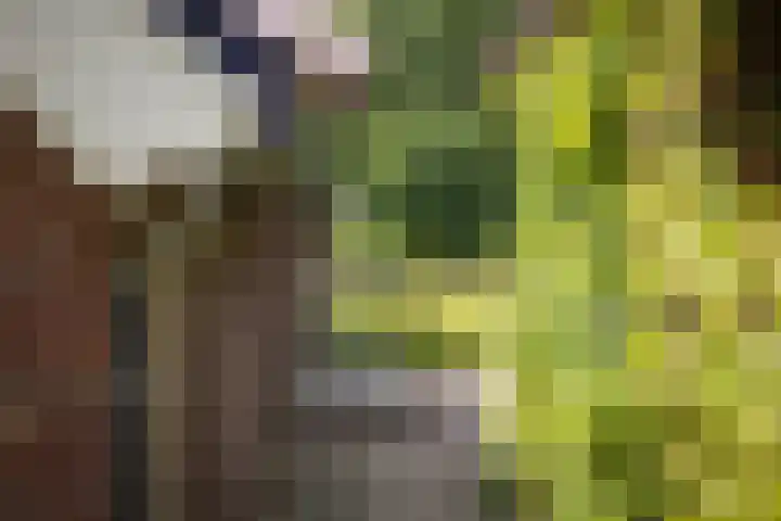 Het Aamschot 5 Haarlo thumbnail 52