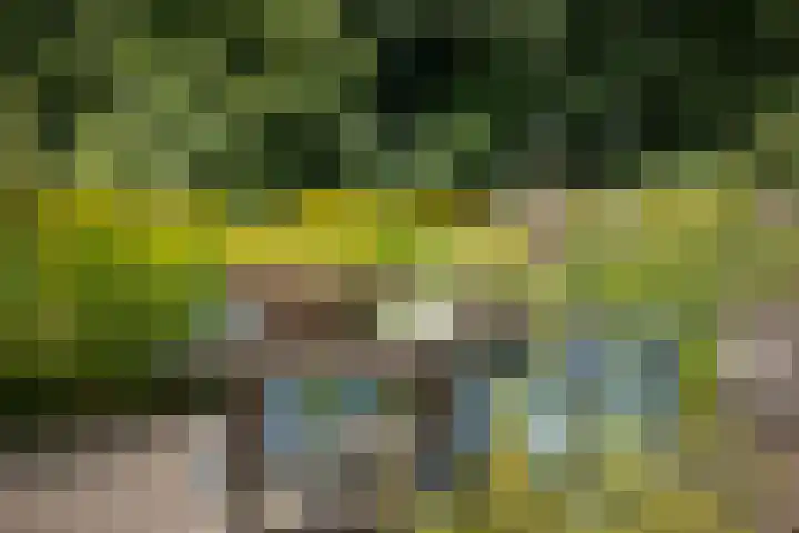 Het Aamschot 5 Haarlo thumbnail 53