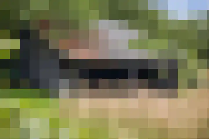 Het Aamschot 5 Haarlo thumbnail 55