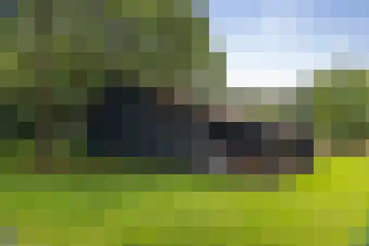 Het Aamschot 5 Haarlo thumbnail 57