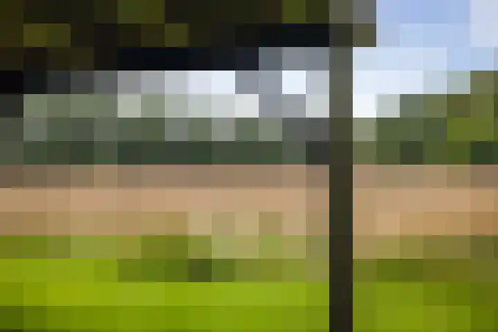 Het Aamschot 5 Haarlo thumbnail 58