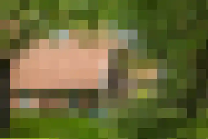 Het Aamschot 5 Haarlo thumbnail 6
