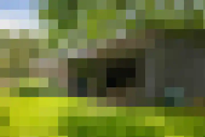Het Aamschot 5 Haarlo thumbnail 61