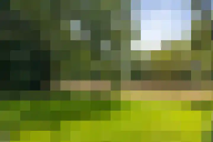 Het Aamschot 5 Haarlo thumbnail 62