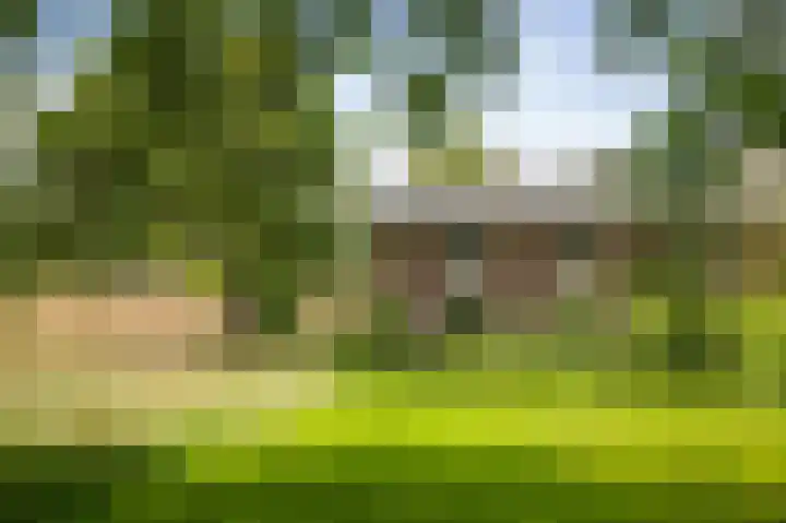 Het Aamschot 5 Haarlo thumbnail 63