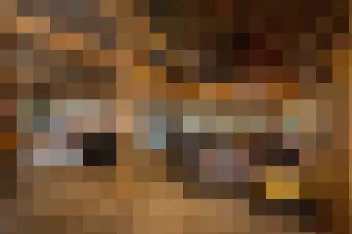Het Aamschot 5 Haarlo thumbnail 69