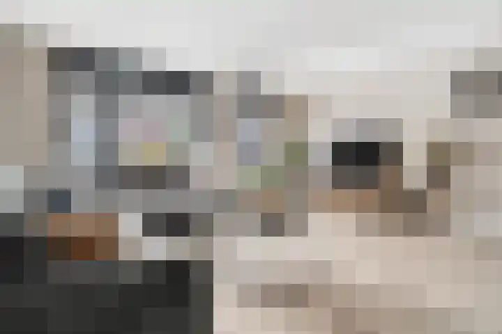 het Adelsgoor 4 Losser thumbnail 11