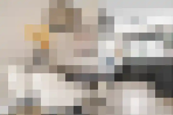 het Adelsgoor 4 Losser thumbnail 13