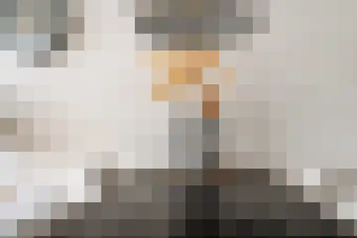 het Adelsgoor 4 Losser thumbnail 14