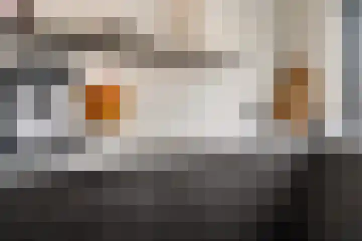 het Adelsgoor 4 Losser thumbnail 18