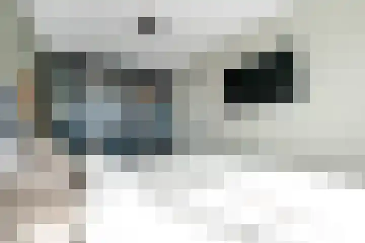 het Adelsgoor 4 Losser thumbnail 22