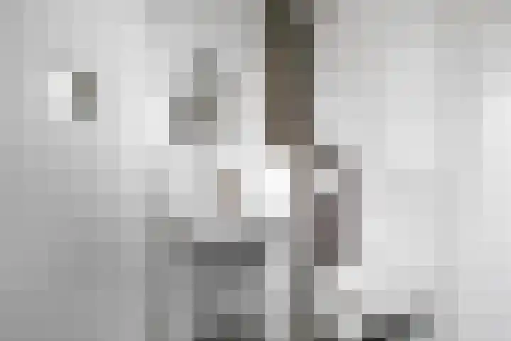 het Adelsgoor 4 Losser thumbnail 25