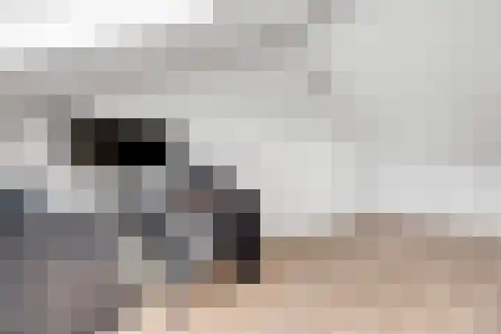 het Adelsgoor 4 Losser thumbnail 34