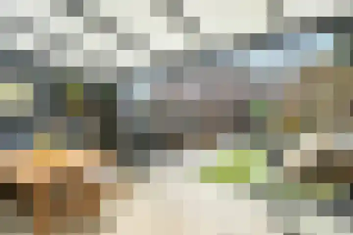 het Adelsgoor 4 Losser thumbnail 35