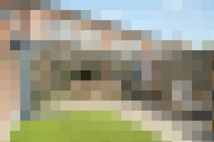 het Adelsgoor 4 Losser thumbnail 39