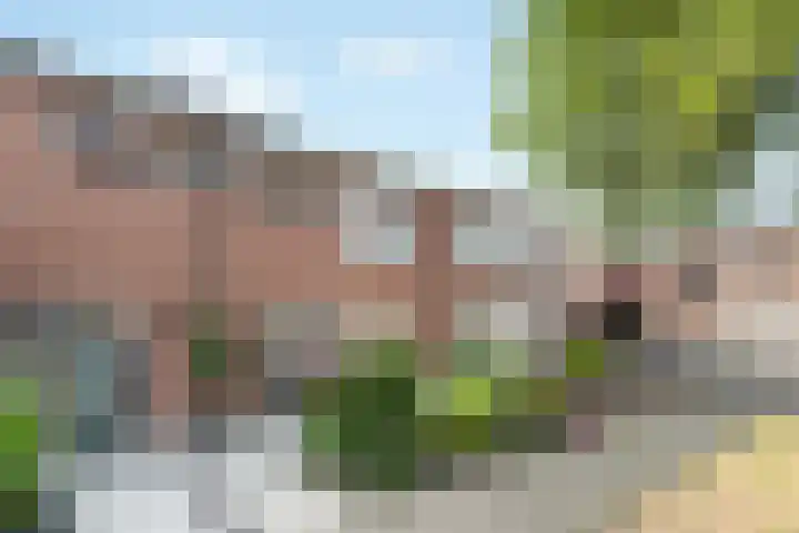 het Adelsgoor 4 Losser thumbnail 4