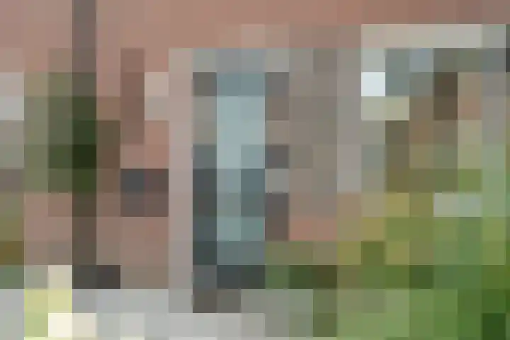 het Adelsgoor 4 Losser thumbnail 46