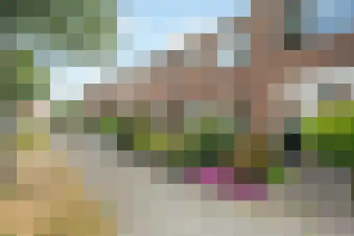het Adelsgoor 4 Losser thumbnail 47