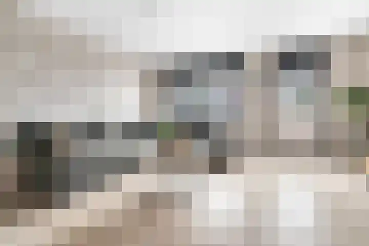 het Adelsgoor 4 Losser thumbnail 56