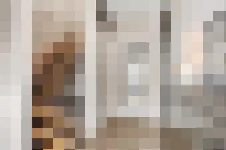 het Adelsgoor 4 Losser thumbnail 7
