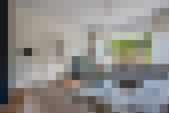 Het Ambt 29 Hasselt thumbnail 11