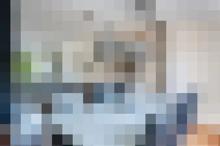 Het Ambt 29 Hasselt thumbnail 14