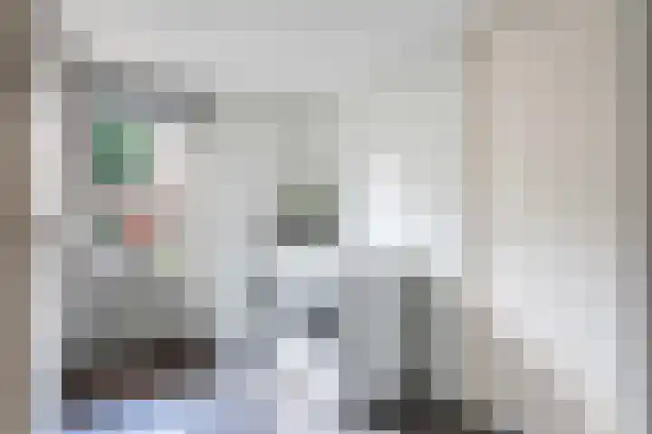 Het Ambt 29 Hasselt thumbnail 17