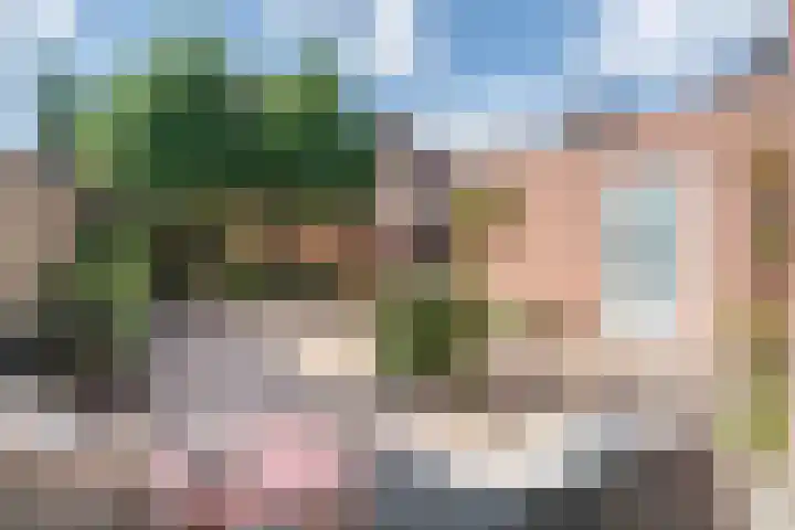 Het Ambt 29 Hasselt thumbnail 20