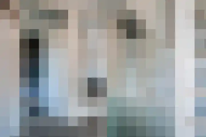 Het Ambt 29 Hasselt thumbnail 23