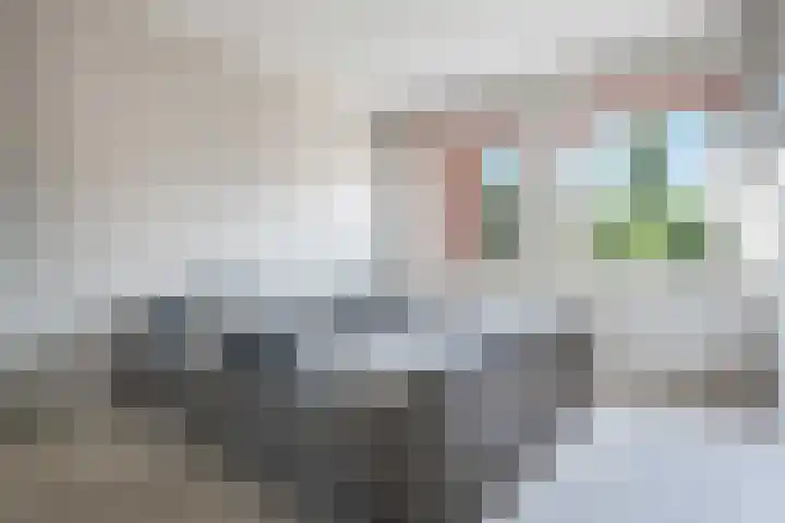 Het Ambt 29 Hasselt thumbnail 28