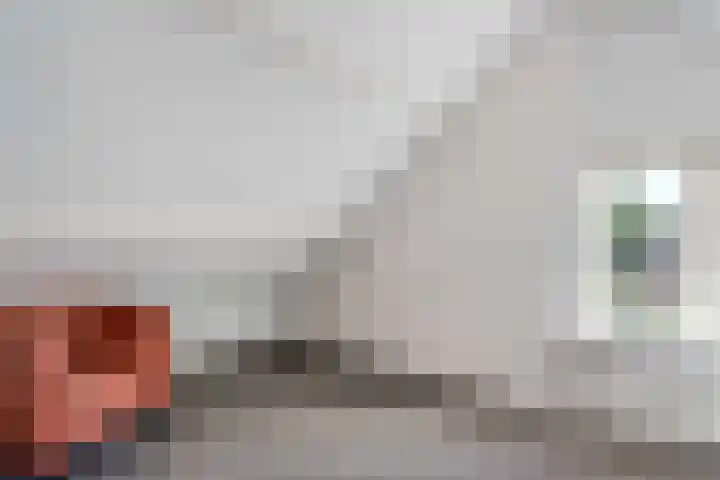 Het Ambt 29 Hasselt thumbnail 37