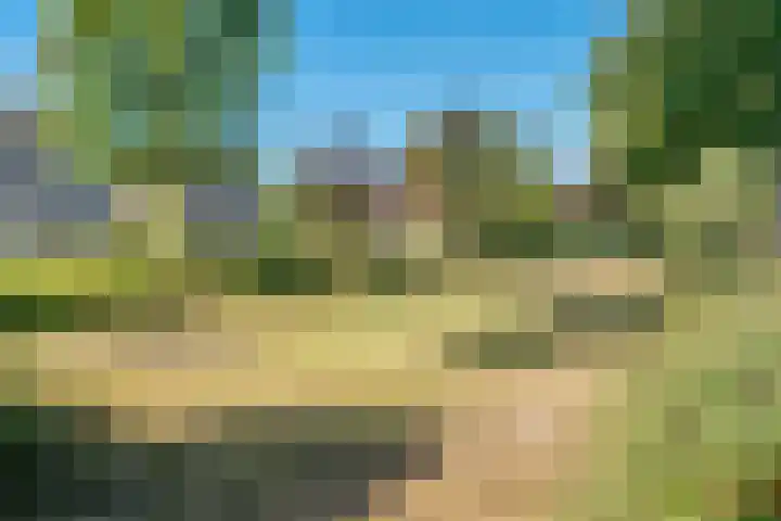 Het Ambt 29 Hasselt thumbnail 40