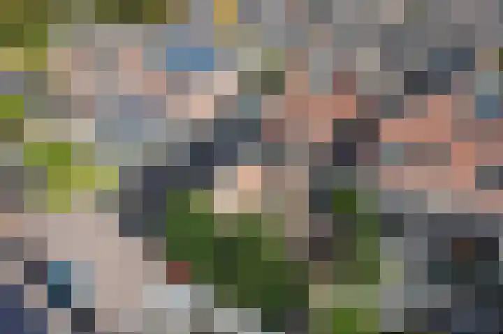 Het Ambt 29 Hasselt thumbnail 43