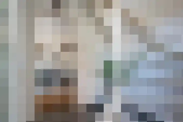 Het Ambt 29 Hasselt thumbnail 5