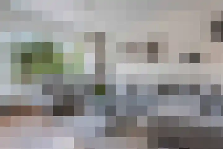 Het Ambt 29 Hasselt thumbnail 8