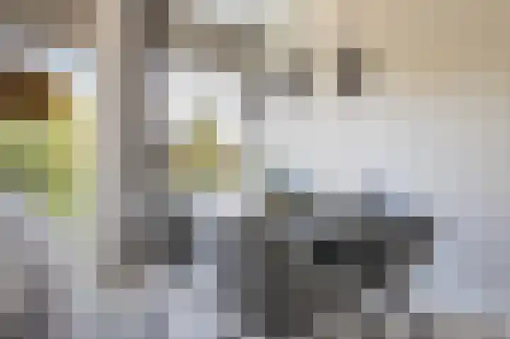 Het Baken 78 Almelo thumbnail 20