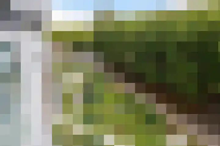 Het Baken 78 Almelo thumbnail 30