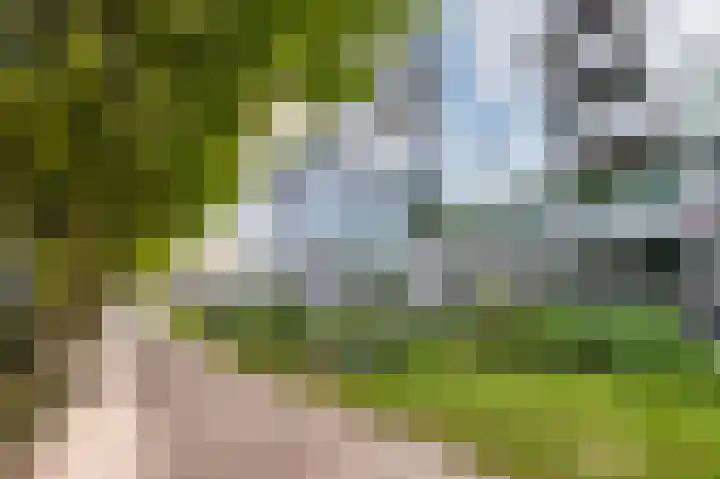 Het Baken 78 Almelo thumbnail 42