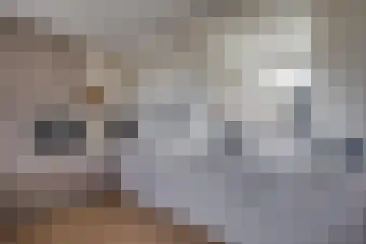 Het Bastion 15 Dieren thumbnail 16