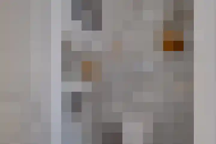 Het Bastion 15 Dieren thumbnail 23