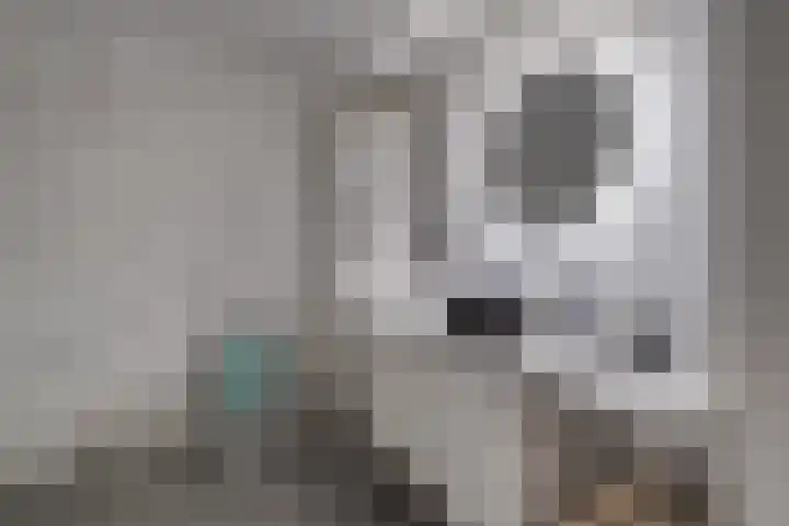 Het Bastion 15 Dieren thumbnail 24